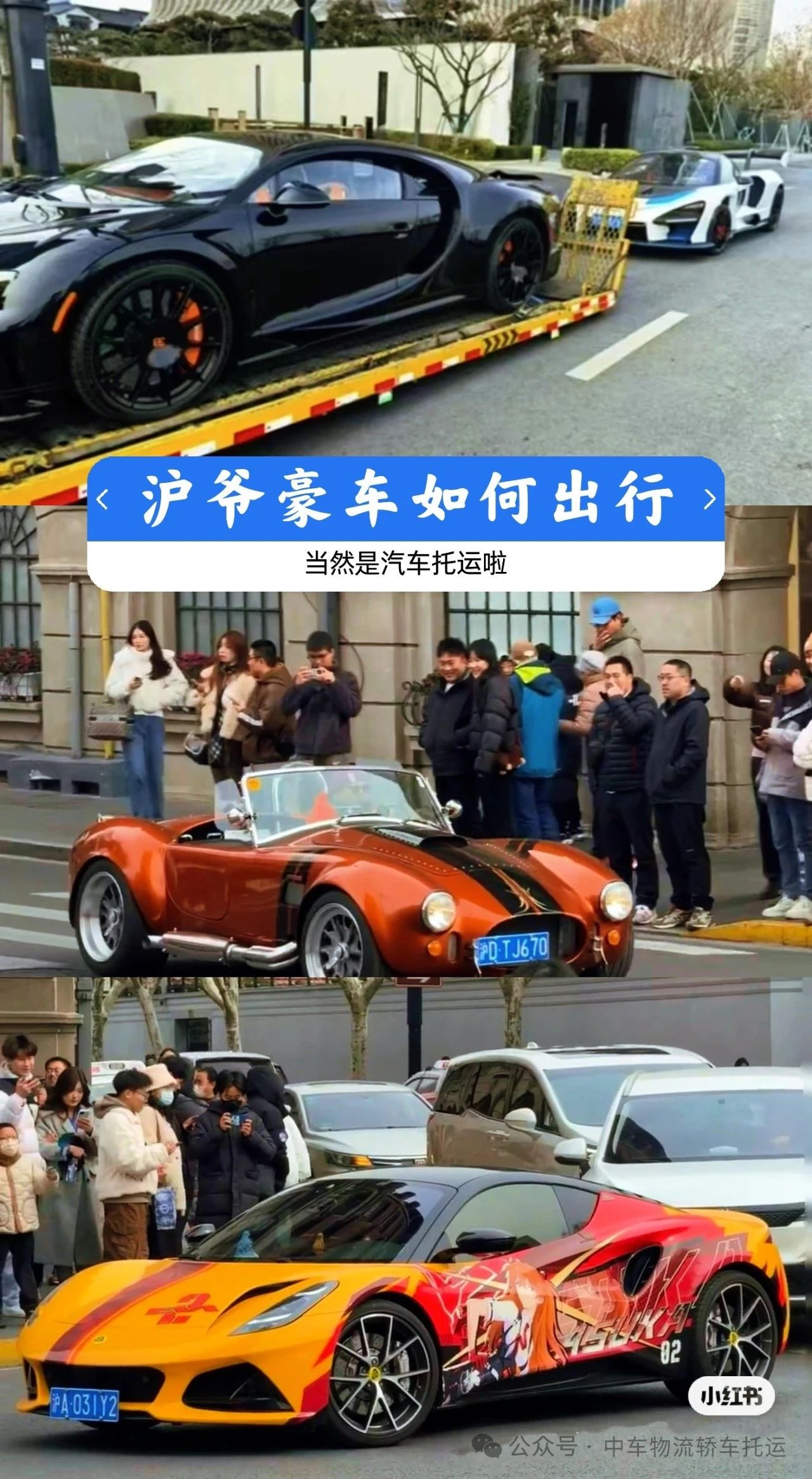 “沪爷”们豪车如何出行——汽车托运