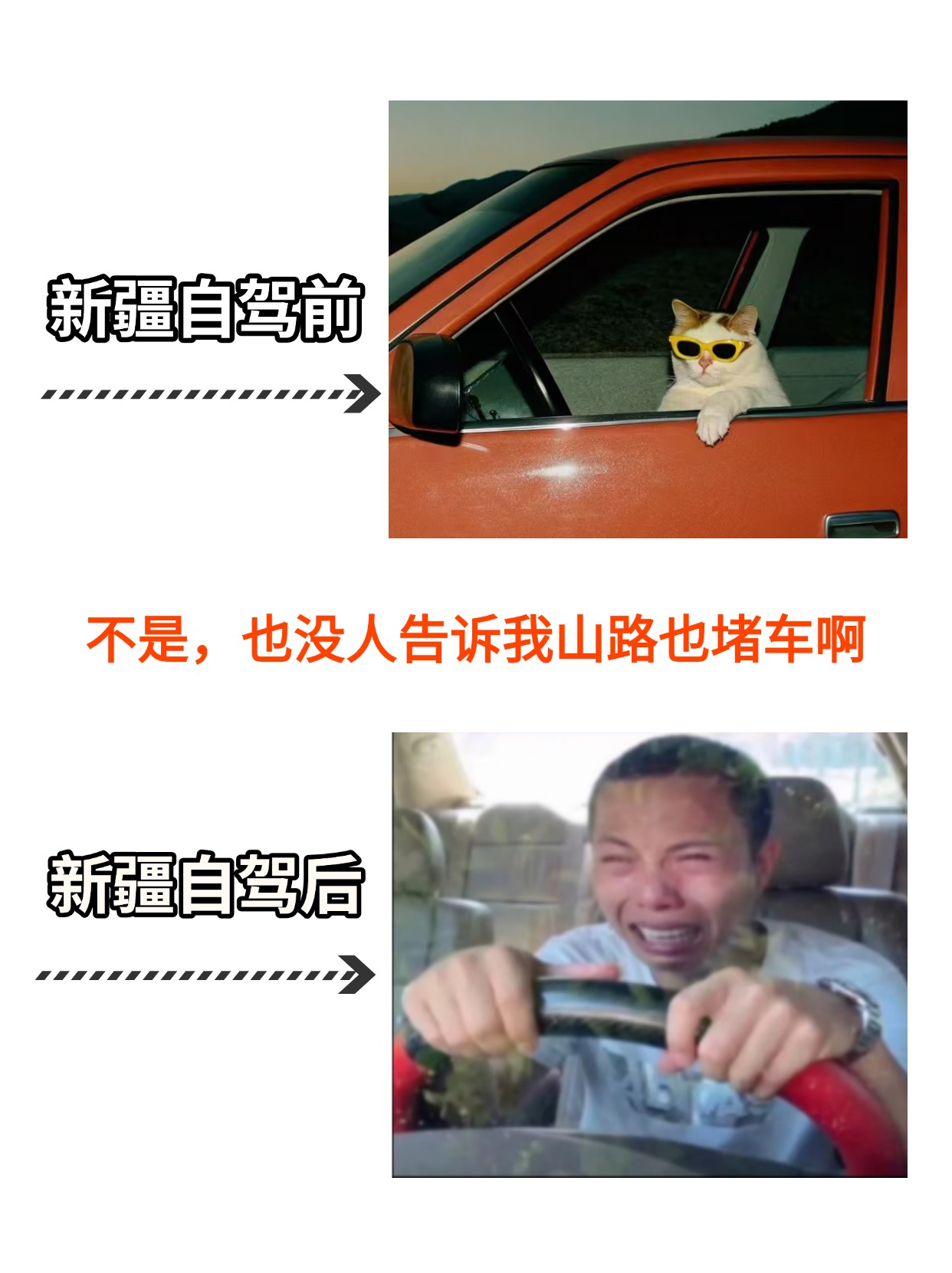 教育攻略趣味对比宣传小红书封面(2)